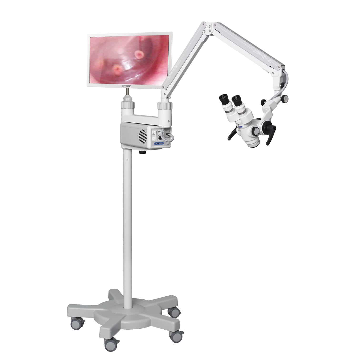 Microscope ORL